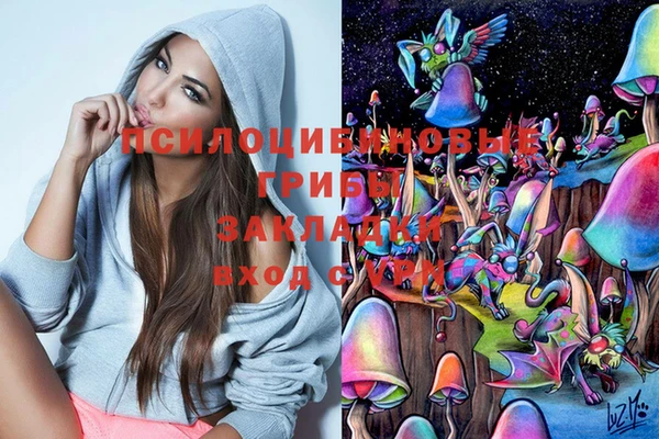кокс Козловка
