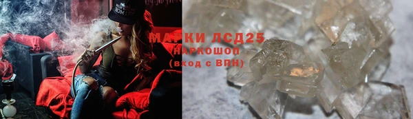 шишки Козельск