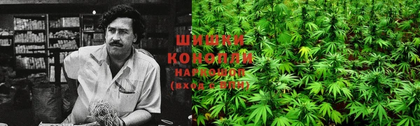 трава Кодинск