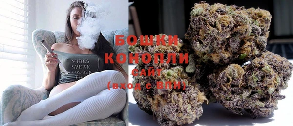 шишки Козельск