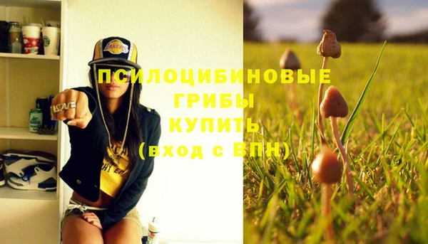 кокс Козловка
