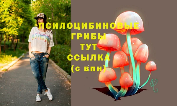 шишки Козельск