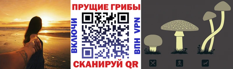 Галлюциногенные грибы мицелий  Красноармейск 