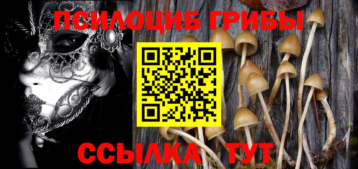 Галлюциногенные грибы мицелий Красноармейск