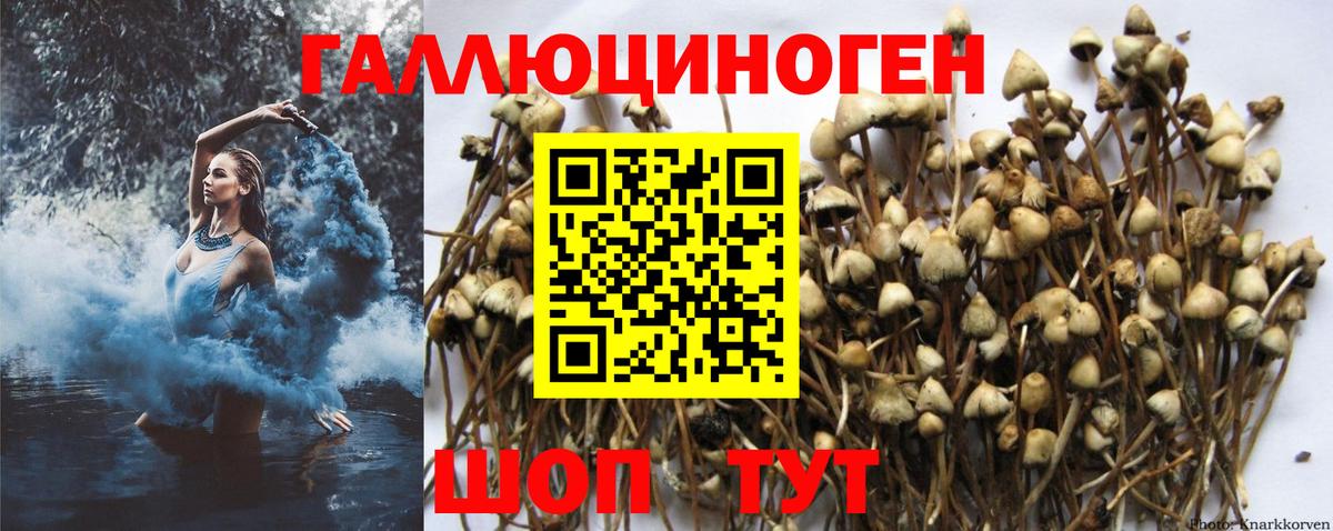 Галлюциногенные грибы мухоморы  Галлюциногенные грибы Magic Shrooms  Красноармейск  Вход с VPN 